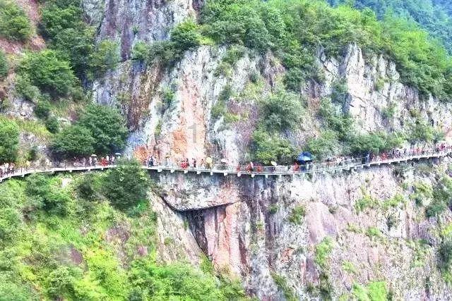 冷知识分享平台-感染新冠是什么体验？，独家揭秘惊人真相！